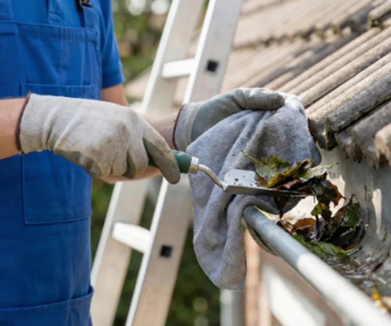 Gutter Cleaning